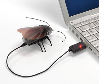 Roachbot, robot cucaracha controlable con tu iPod o iPad