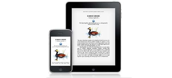 audio companion on kindle iphone audio companion on kindle iphone