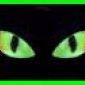 Imagen de gatonel